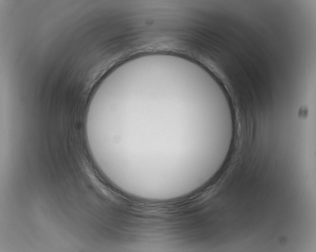 X0000115730493200911121129