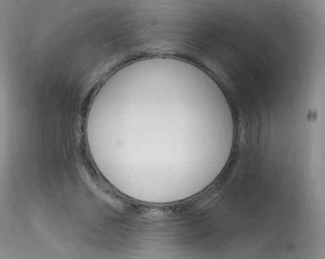 X0000115730494200911121129