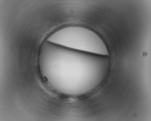 X0000115730496200911121128