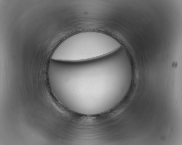 X0000115730497200911121128