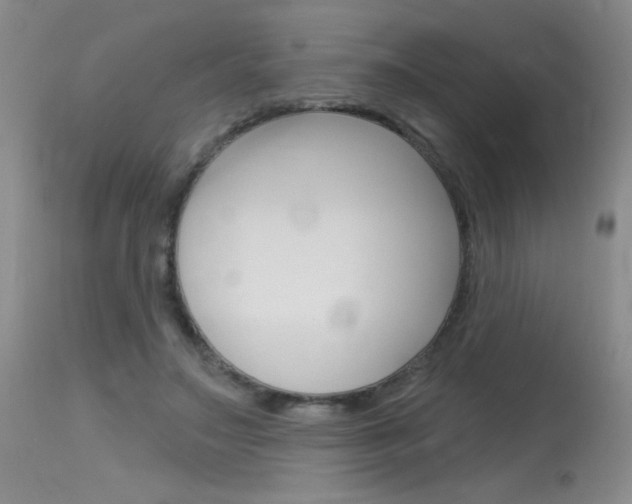 X0000115730499200911121128