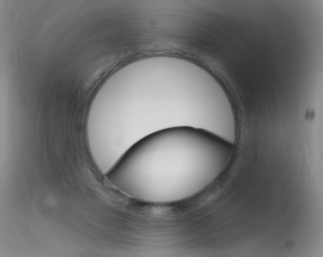 X0000115730501200911121128