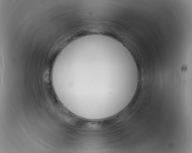 X0000115730502200911121128