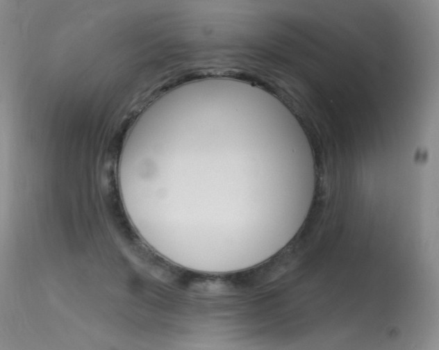 X0000115730503200911121128