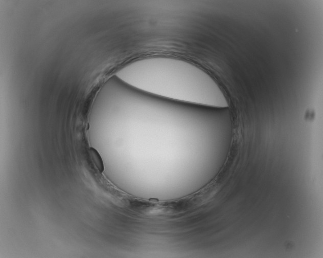 X0000115730504200911121128
