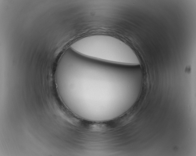 X0000115730508200911121128