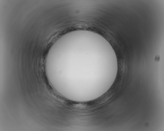 X0000115730511200911121128