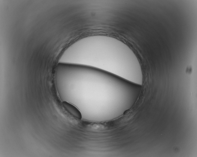 X0000115730512200911121128