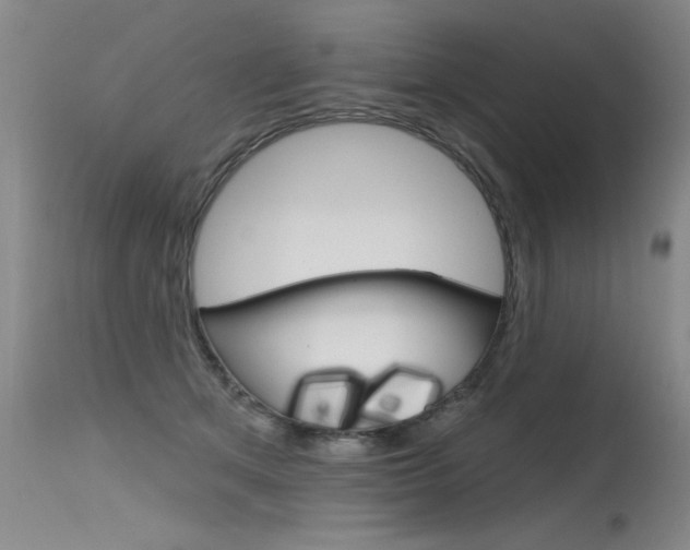 X0000115730513200911121128
