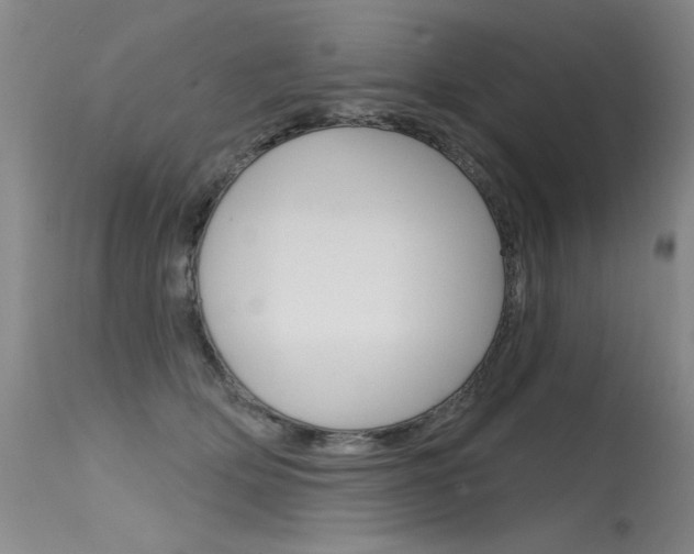 X0000115730514200911121128
