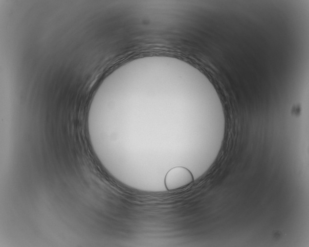 X0000115730516200911121128