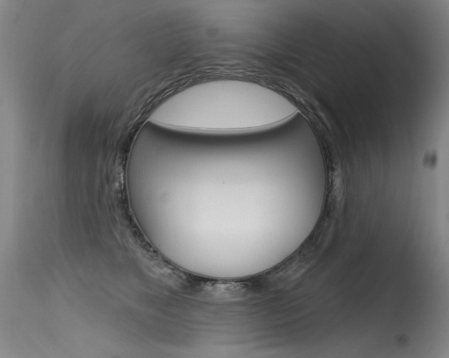 X0000115730517200911121128