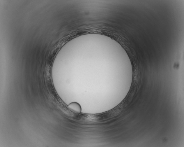 X0000115730518200911121128