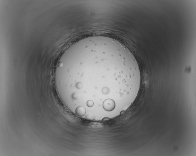 X0000115730519200911121128