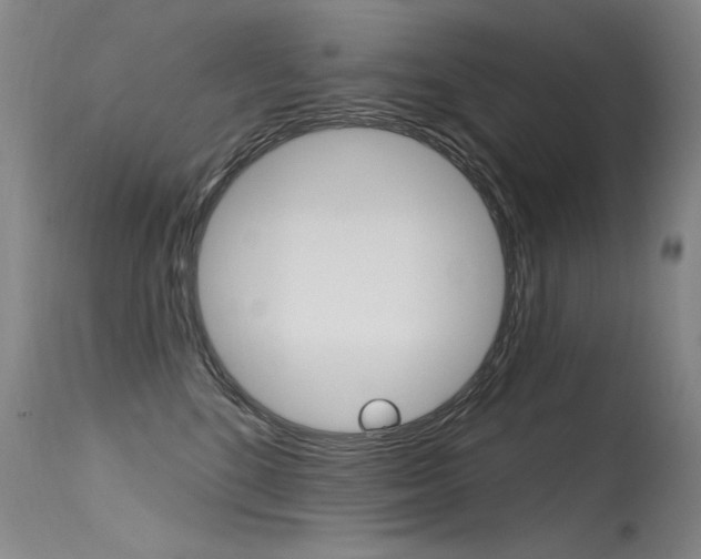 X0000115730520200911121128