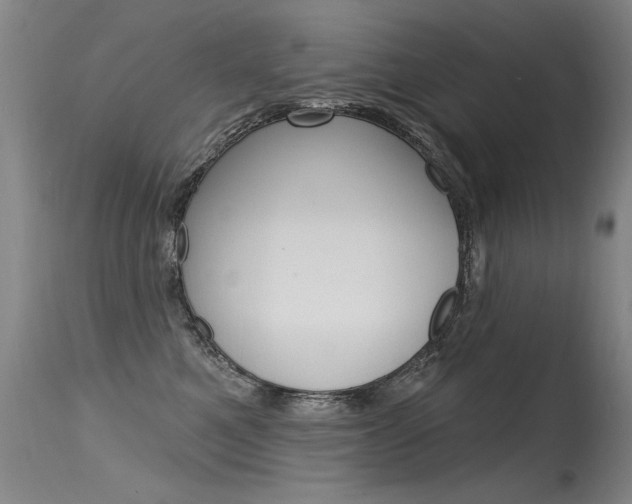 X0000115730521200911121128