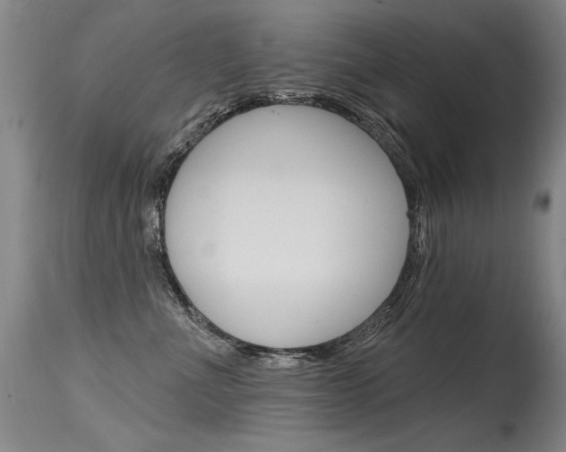 X0000115730523200911121128