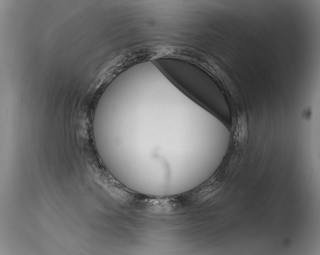 X0000115730524200911121128