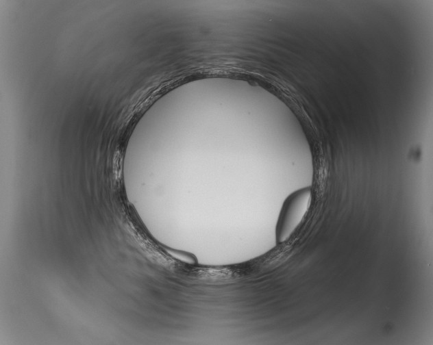 X0000115730525200911121128