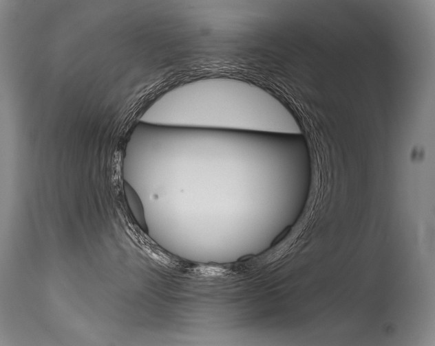 X0000115730528200911121128