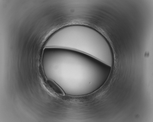 X0000115730530200911121127