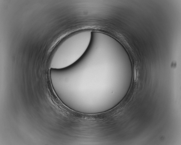 X0000115730531200911121127