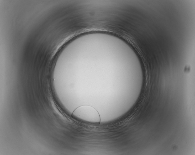X0000115730534200911121127