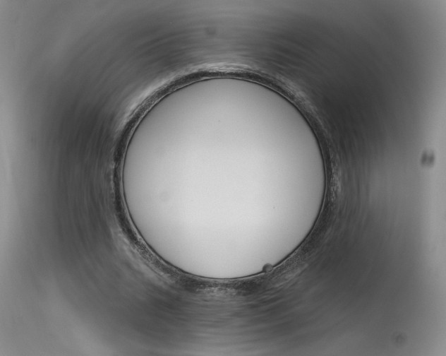 X0000115730535200911121127