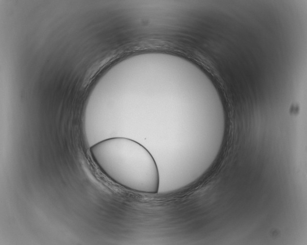 X0000115730538200911121128