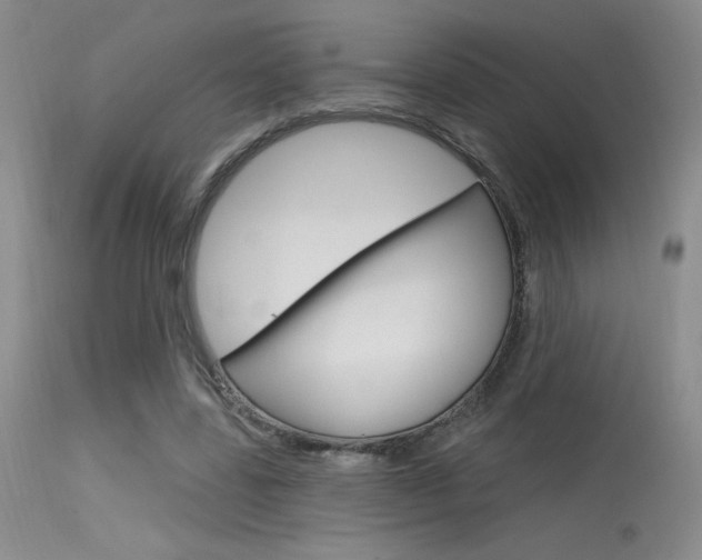 X0000115730539200911121128