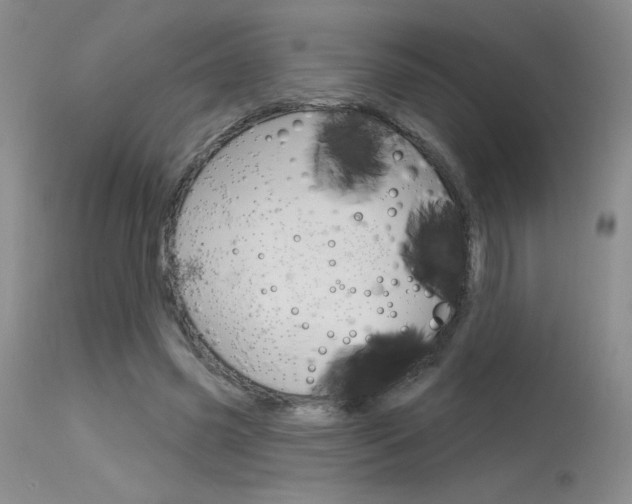 X0000115730541200911121128