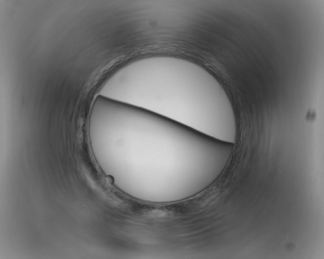 X0000115730542200911121128