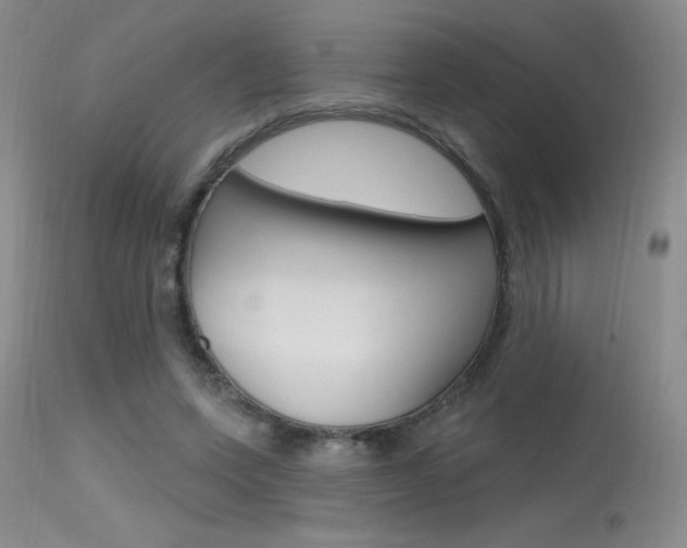 X0000115730543200911121128