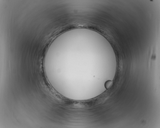 X0000115730545200911121128