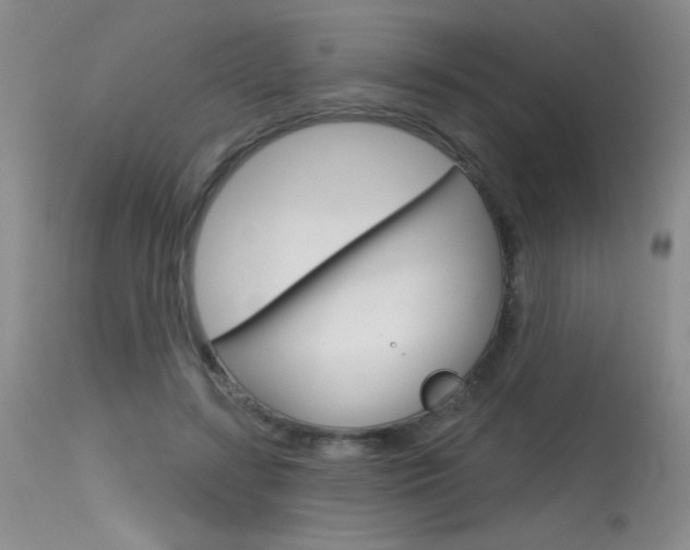 X0000115730547200911121128