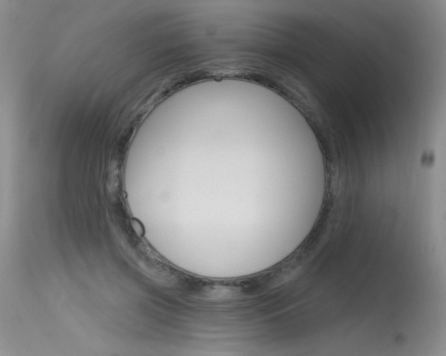 X0000115730549200911121128