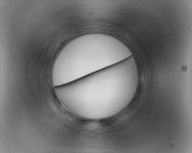 X0000115730551200911121128