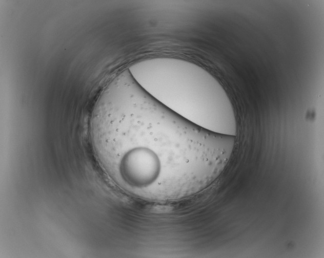 X0000115730554200911121128