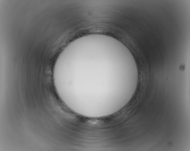 X0000115730557200911121128