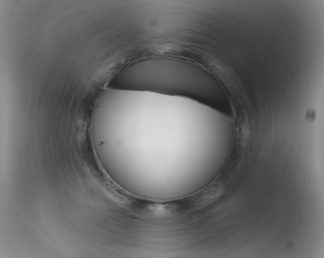 X0000115730558200911121128