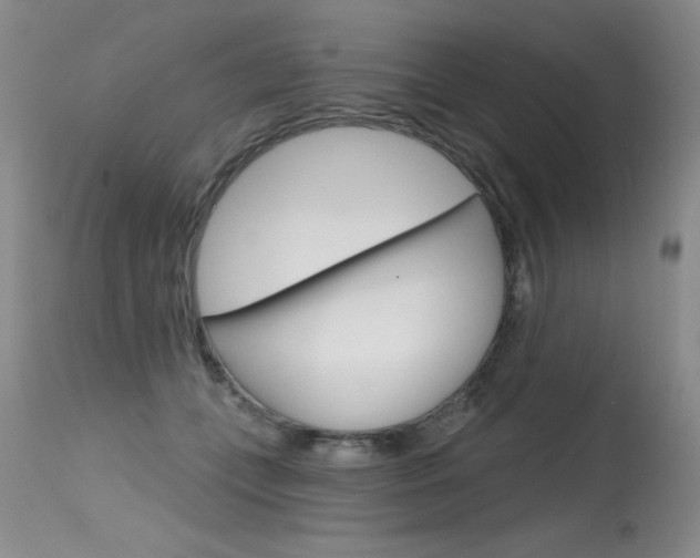 X0000115730559200911121128