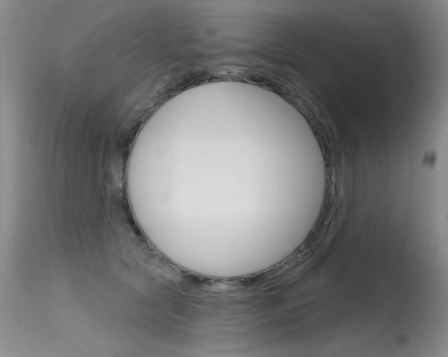 X0000115730561200911121128