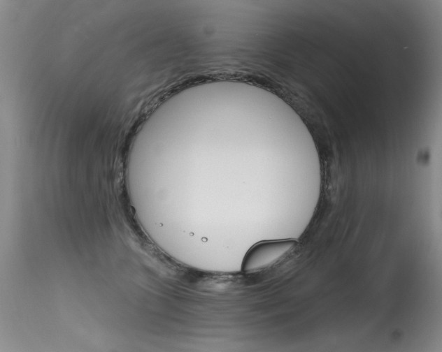 X0000115730563200911121128