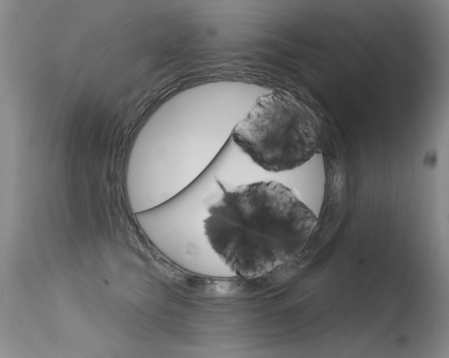 X0000115730565200911121128