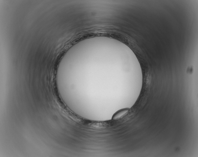 X0000115730567200911121128