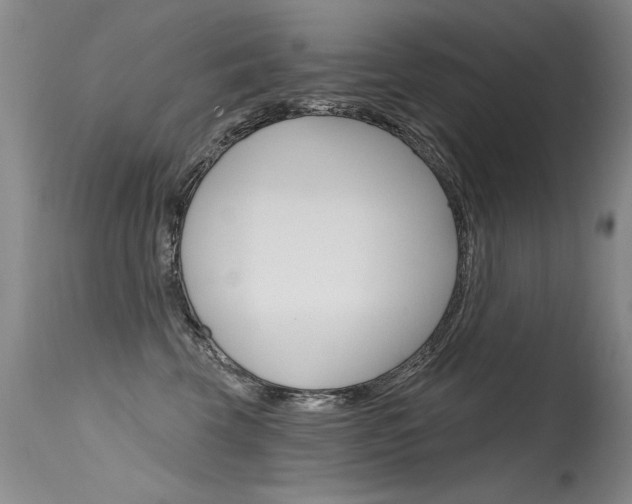 X0000115730569200911121128