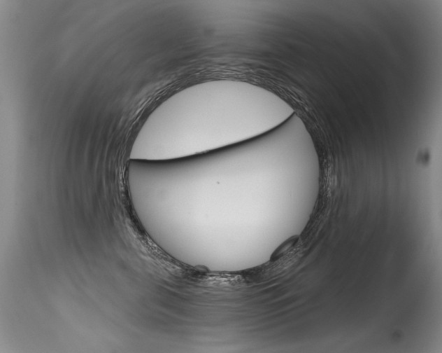 X0000115730571200911121128