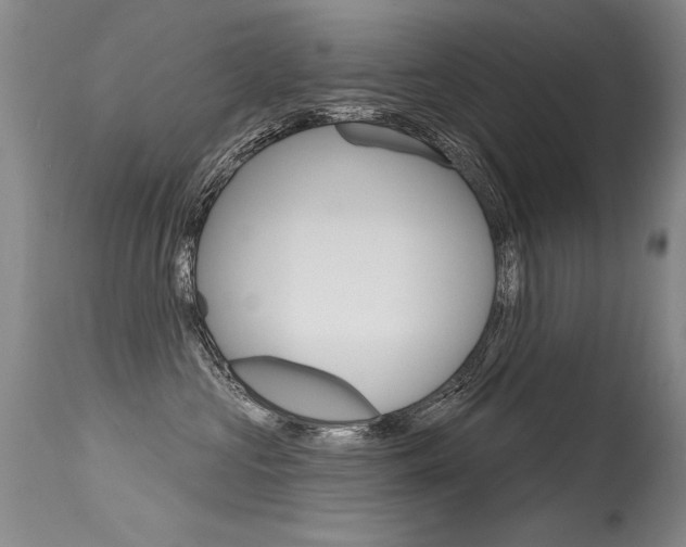 X0000115730573200911121128