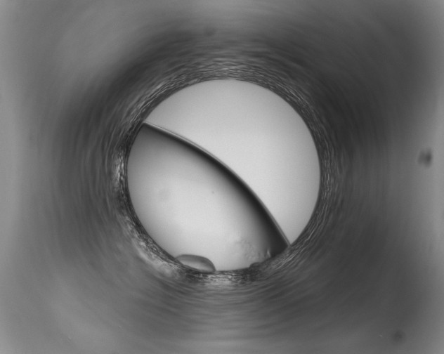 X0000115730574200911121128