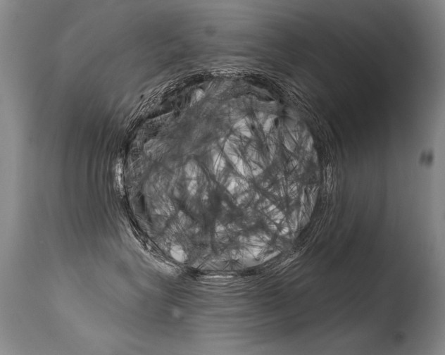 X0000115730575200911121128